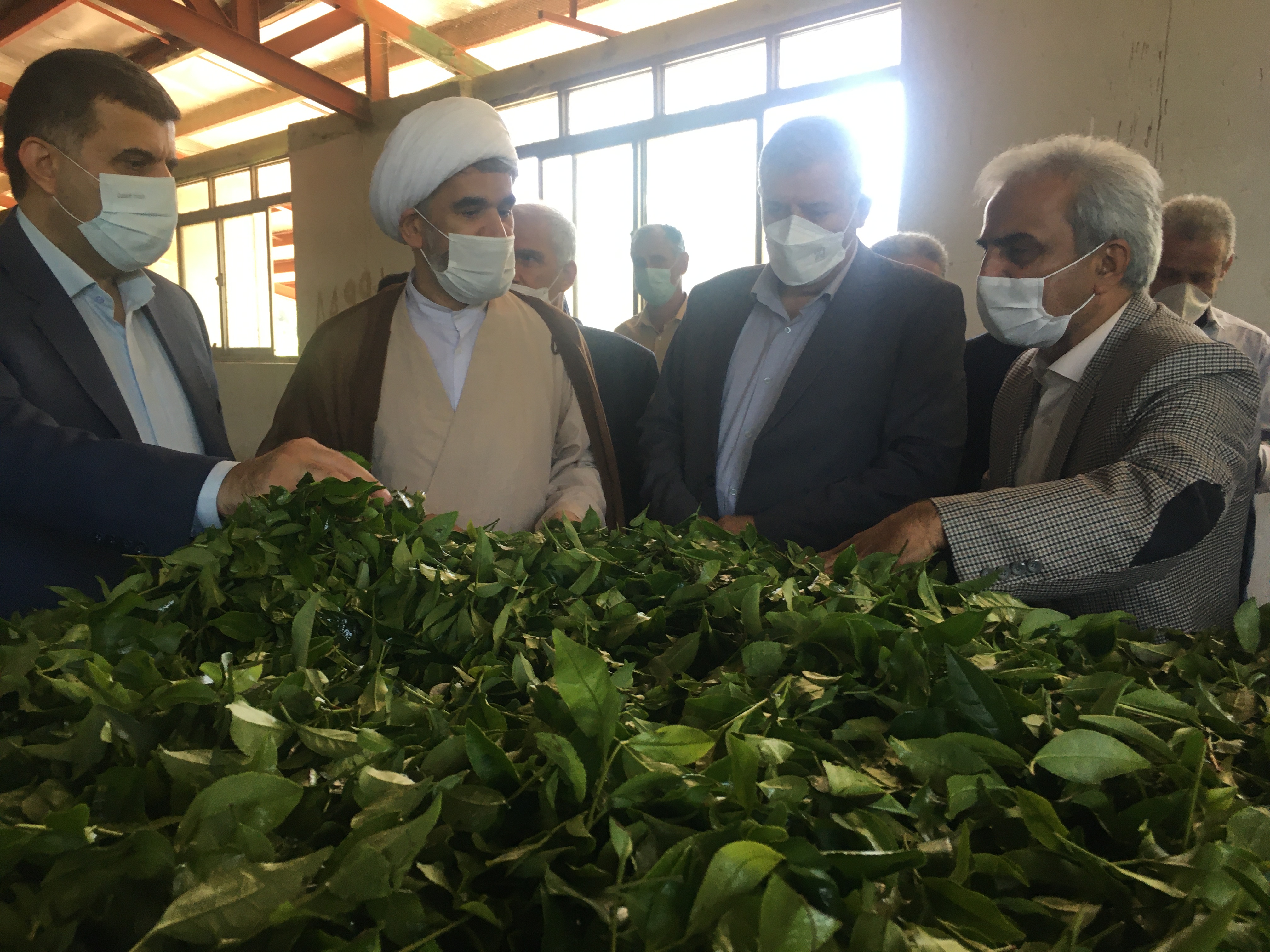بازدید رئیس سازمان چای کشوربهمراه نماینده محترم مردم شهرستانهای لاهیجان و سیاهکل و هیات همراه از کارخانجات چایسازی سیاهکل