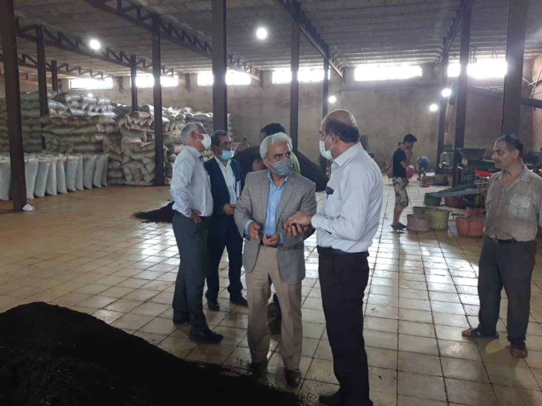 بازدید رئیس سازمان چای کشور از کارخانجات  شهرستان املش