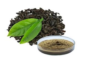   بررسی اثر آنتی اکسیدانی عصاره چای سیاه
