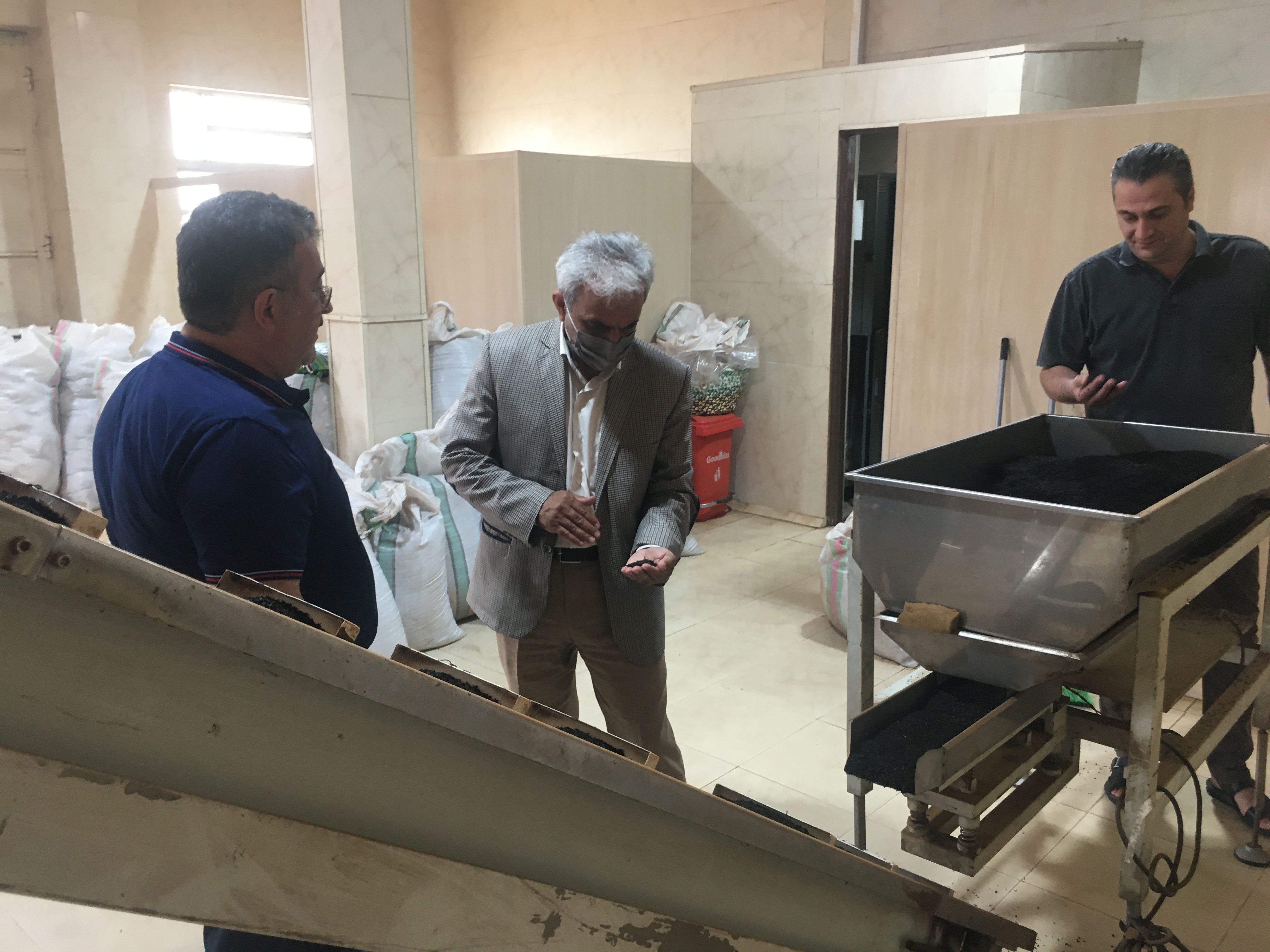 بازدید رئیس سازمان چای کشور از کارخانجات چایسازی و بسته بندی چای شهرستان لاهیجان