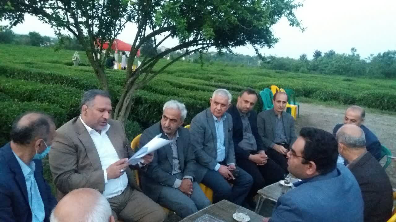 برگزاری نخستین جشنواره چای مازندران در تنکابن